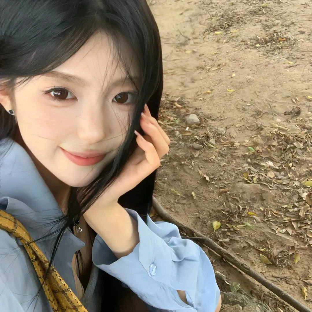 狗的审判 封面
